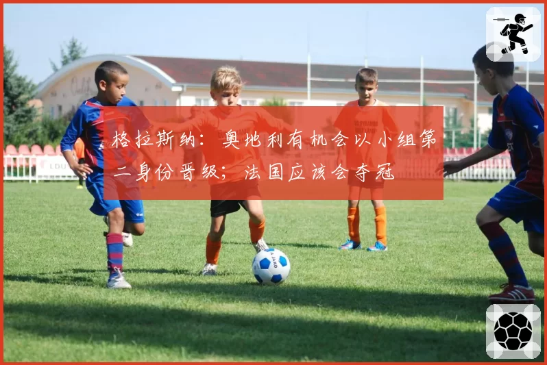格拉斯纳：奥地利有机会以小组第二身份晋级；法国应该会夺冠